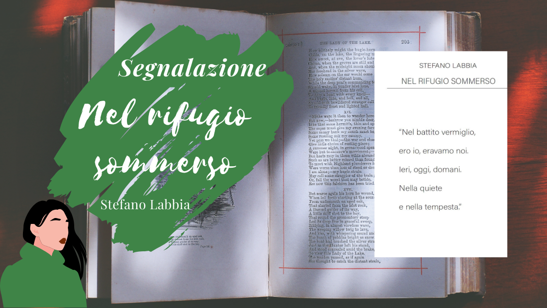 Cover reveal:” Voglio Solo Lei” di Maura Grignolo!